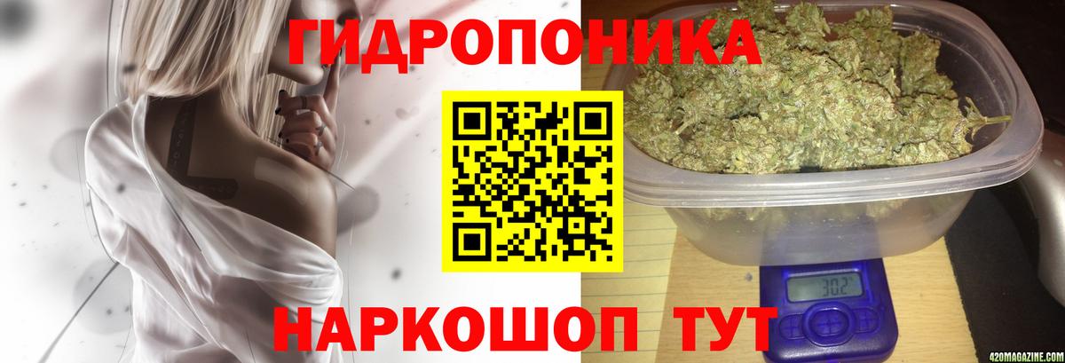 Канабис марихуана  Вход с VPN  МАРИХУАНА Bruce Banner  Шишки марихуана SATIVA & INDICA  Тамбов 